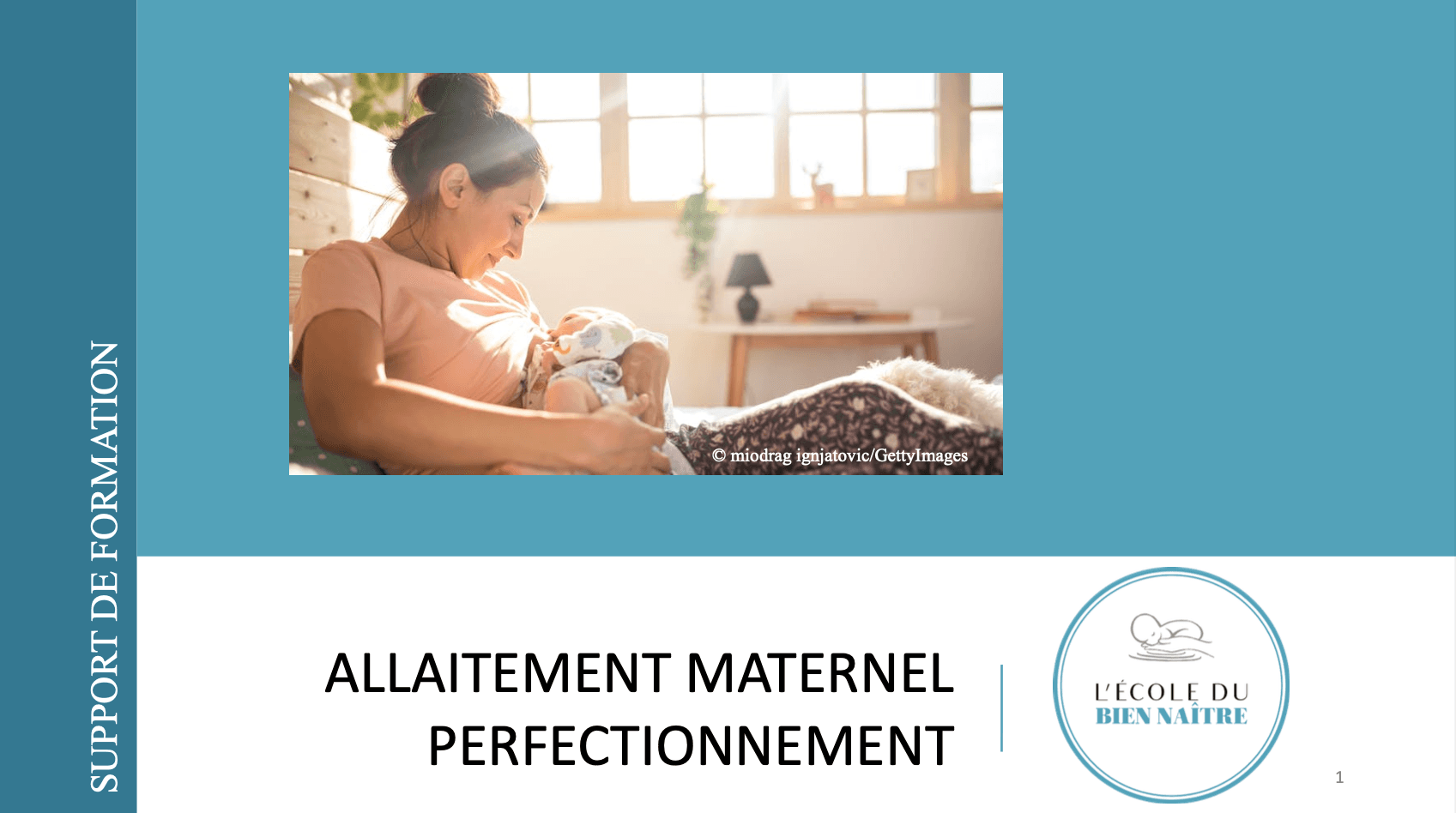 Allaitement maternel - Perfectionnement